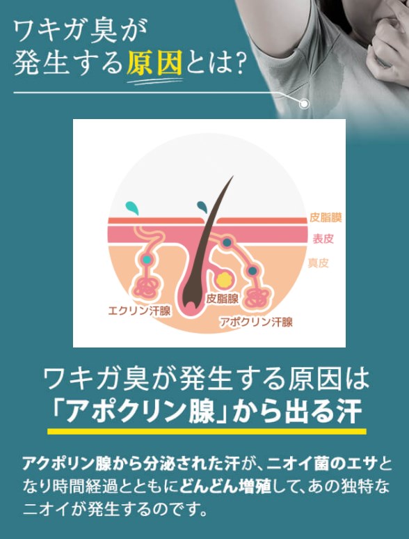 サラフィネ,効果なし,評判,口コミ