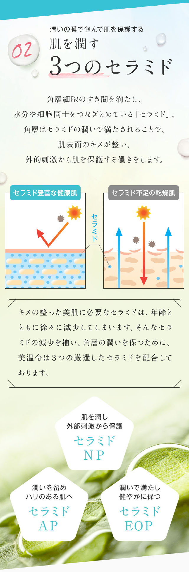 美温令（びおんれい）,特徴,効果