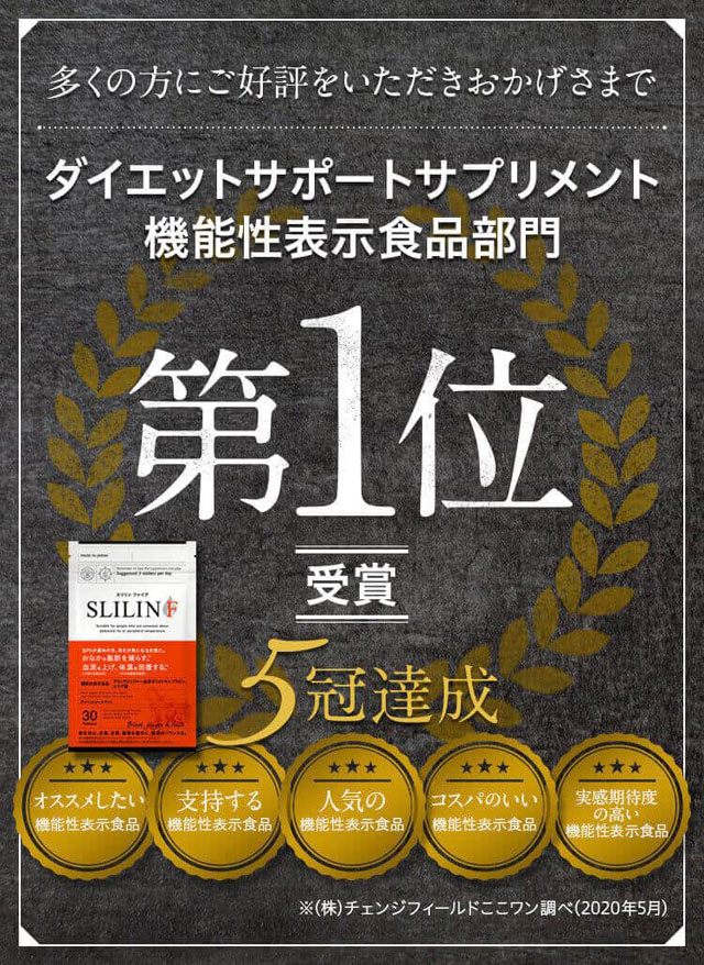 SLILIN F（スリリンファイア）,評価,人気,受賞