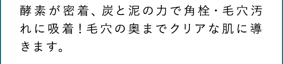 ファンケル ディープクリア洗顔パウダー,特徴,効果