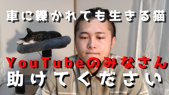 にゃんとりすけ,評判,炎上