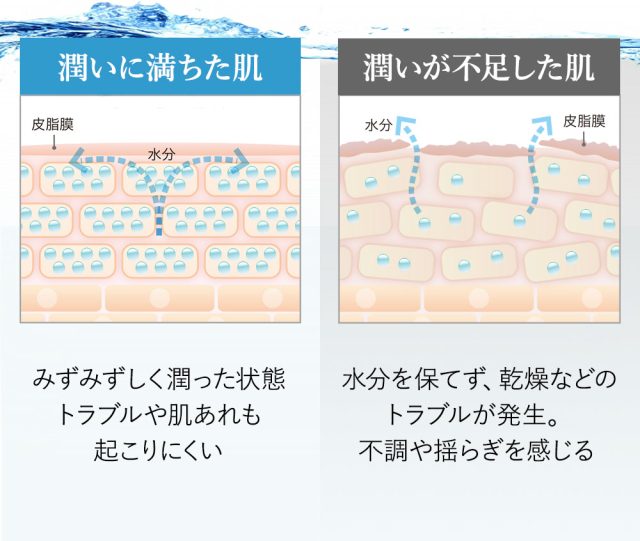 ALCHEMY(アルケミー),効果なし,評判,口コミ