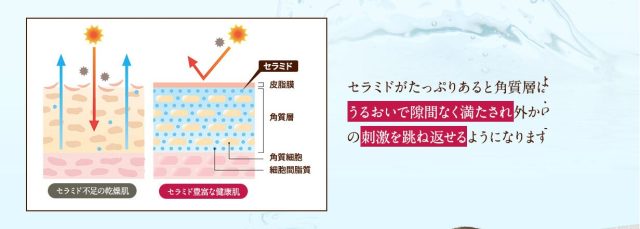 リセラージュ,特徴,効果