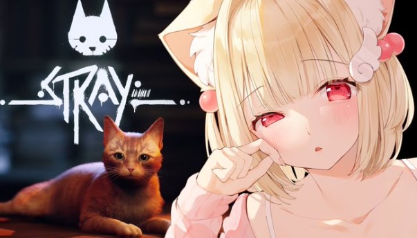 ♡Necoma Ch.♡猫羽かりん 【けもりふ】,プロフィール,事務所