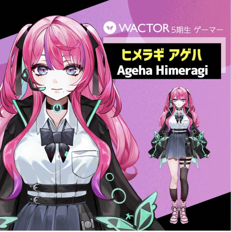 ヒメラギアゲハ Ageha Himeragi【WACTOR】,身長